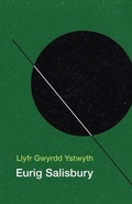 Cover: Llyfr Gwyrdd Ystwyth - Cyhoeddiadau Barddas