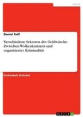 Cover: Verschiedene Sektoren der Geldwaesche. Zwischen Wolkenkratzern und organisierter Kriminalitaet - GRIN Verlag