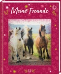 Cover: Freundebuch - Meine Freunde - Coppenrath