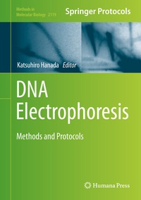 Abbildung von: DNA Electrophoresis - Humana