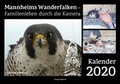 Cover: Mannheims Wanderfalken - Familienleben durch die Kamera - Waldkirch Verlag