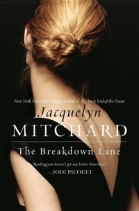 Enlarge image Cover: The Breakdown Lane - HarperCollins