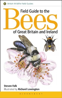 Abbildung von: Field Guide to the Bees of Great Britain and Ireland - Bloomsbury Wildlife
