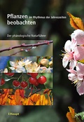 Cover: Pflanzen im Rhythmus der Jahreszeiten beobachten - Haupt Verlag