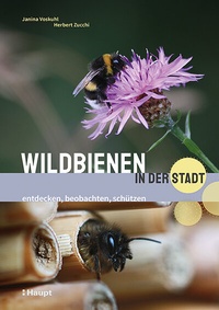 Abbildung von: Wildbienen in der Stadt - Haupt Verlag