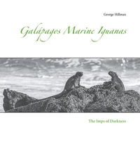 Abbildung von: Galápagos Marine Iguanas - BoD - Books on Demand