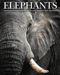 Cover: Elephants - Amber Books