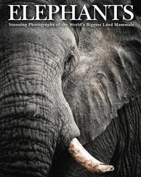 Enlarge image Cover: Elephants - Amber Books