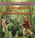 Cover: Tangled in the Rainforest - BrambleKids Ltd