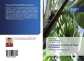 Cover: Therapeutic Potential Of Musa Paradisiaca - Scholars' Press