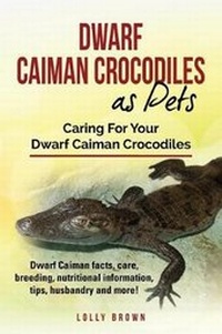 Abbildung von: Dwarf Caiman Crocodiles as Pets - Pack & Post Plus, LLC
