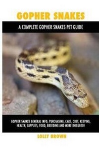 Abbildung von: Gopher Snakes - Pack & Post Plus, LLC