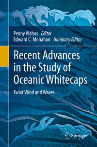 Enlarge image Cover: Recent Advances in the Study of Oceanic Whitecaps - Springer