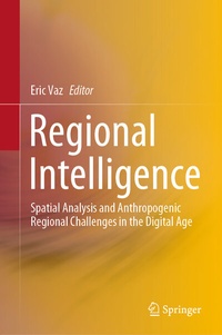 Abbildung von: Regional Intelligence - Springer