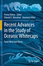Cover: Recent Advances in the Study of Oceanic Whitecaps - Springer