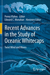 Enlarge image Cover: Recent Advances in the Study of Oceanic Whitecaps - Springer
