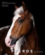 Cover: Pferde im Portr&auml;t - Edizioni White Star SrL