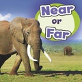 Cover: Near or Far - Raintree