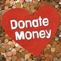 Cover: Donate Money - Raintree