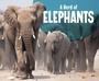 Cover: A Herd of Elephants - Raintree
