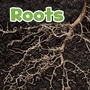 Cover: Roots - Raintree