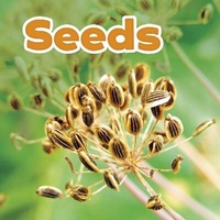 Enlarge image Cover: Seeds - Raintree