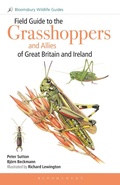 Cover: Field Guide to the Grasshoppers and Allies of Great Britain and Ireland - Bloomsbury Wildlife