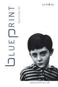 Cover: Blueprint - Balboa Press Au