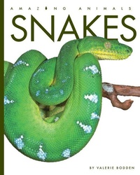Abbildung von: Snakes - Creative Education