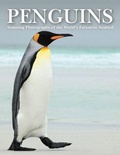 Cover: Penguins - Amber Books
