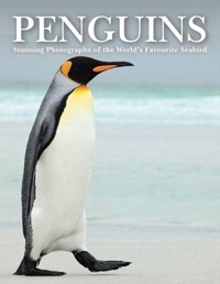 Enlarge image Cover: Penguins - Amber Books