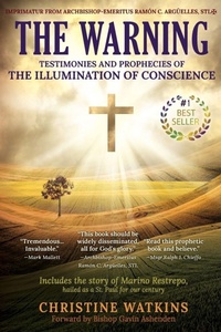 Enlarge image Cover: The Warning - Queen of Peace Media