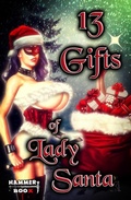 Cover: 13 Gifts of Lady Santa - BookRix