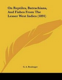 Abbildung von: On Reptiles, Batrachians, And Fishes From The Lesser West Indies (1891) - Kessinger Publishing