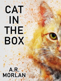 Enlarge image Cover: Cat in the Box - Wildside Press