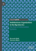 Bild: Ambidextrous Organizations in the Big Data Era - Palgrave Pivot