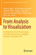 Cover: From Analysis to Visualization - Springer