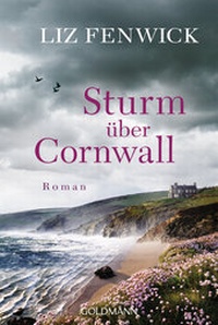 Abbildung von: Sturm über Cornwall - Goldmann