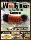 Cover: Woolly Bear the Banded Caterpillar - MINDSTIR MEDIA