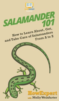 Abbildung von: Salamander 101 - Hot Methods, Inc.