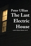 Cover: The Last Electric House - Swamp Angel Press