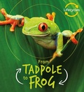 Cover: Lifecycles: Tadpole to Frog - words & pictures