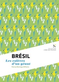 Cover: Br&eacute;sil : Les col&egrave;res d'un g&eacute;ant - Nevicata