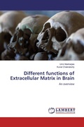 Cover: Different functions of Extracellular Matrix in Brain - LAP Lambert Academic Publishing