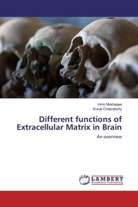 Enlarge image Cover: Different functions of Extracellular Matrix in Brain - LAP Lambert Academic Publishing