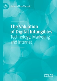 Abbildung von: The Valuation of Digital Intangibles - Palgrave Macmillan