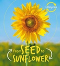 Cover: Lifecycles: Seed to Sunflower - words & pictures