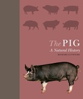 Cover: The Pig - Ivy Press