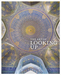 Abbildung von: Art of Looking Up - Frances Lincoln