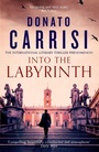 Cover: Into the Labyrinth - Abacus